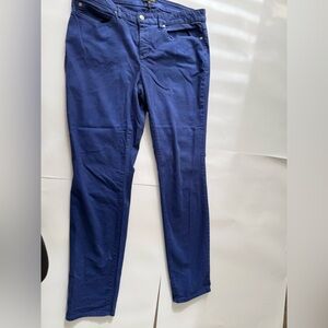 Eileen Fisher Blue Skinny Pants